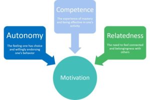 Autonomy, Competence and Relatedness
